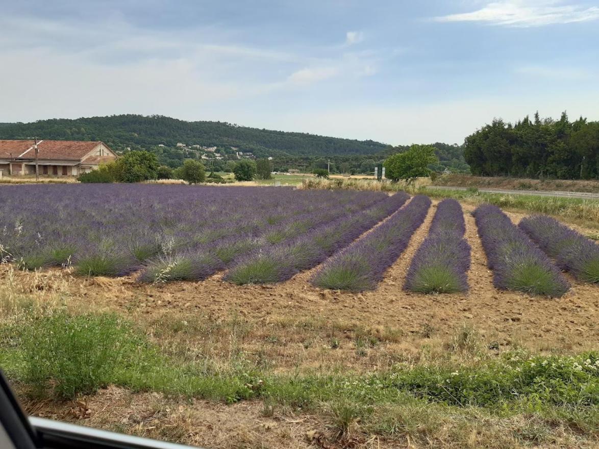 Maison De Famille Entre Vigne Et Lavande Verfeuil エクステリア 写真